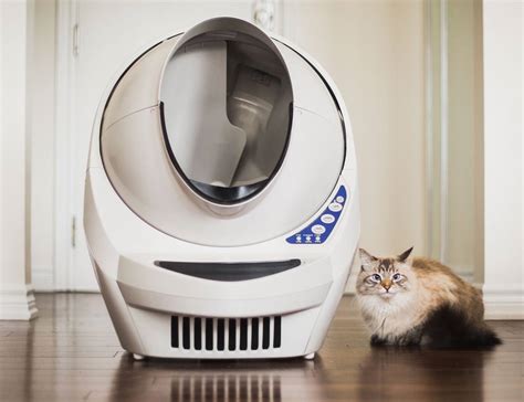 electric litter box reviews 2016|litter boxes that don't smell.